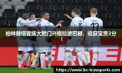 乐鱼体育公司