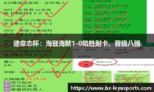 德意志杯：海登海默1-0险胜耐卡，晋级八强