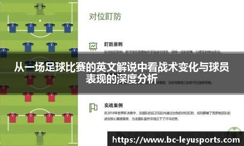 乐鱼体育官网